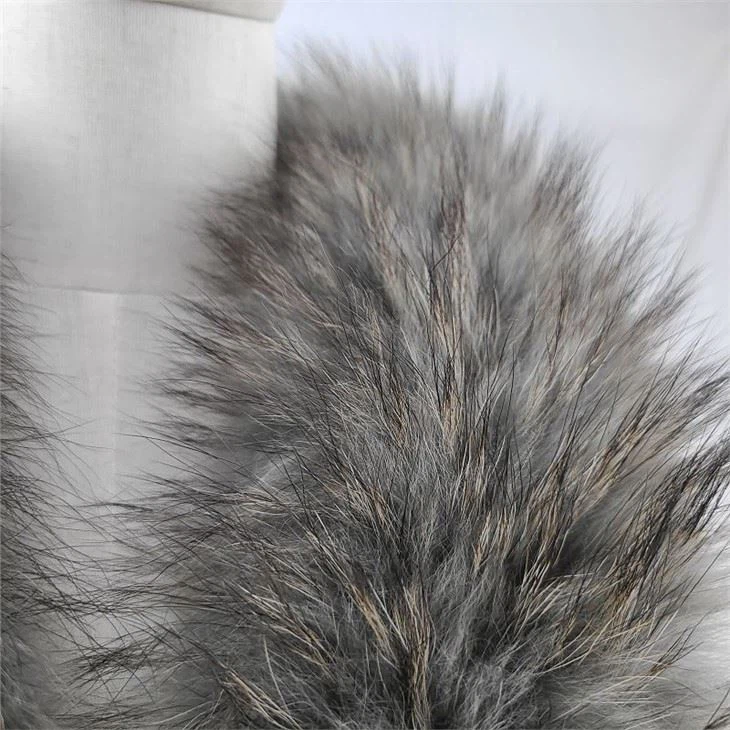 20220301_210841(001)