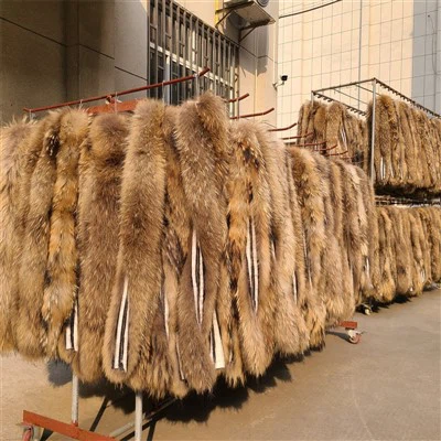 فیکٹری قیمت فر تراشنا/اصلی ریکون فر قدرتی ایک قسم کا جانور بڑا فر کالر